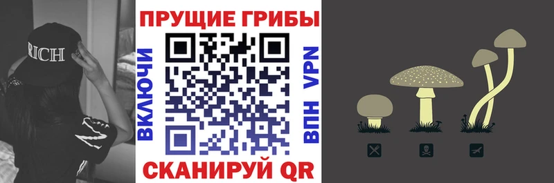МЕГА маркетплейс  Мантурово  Галлюциногенные грибы Cubensis  цена  